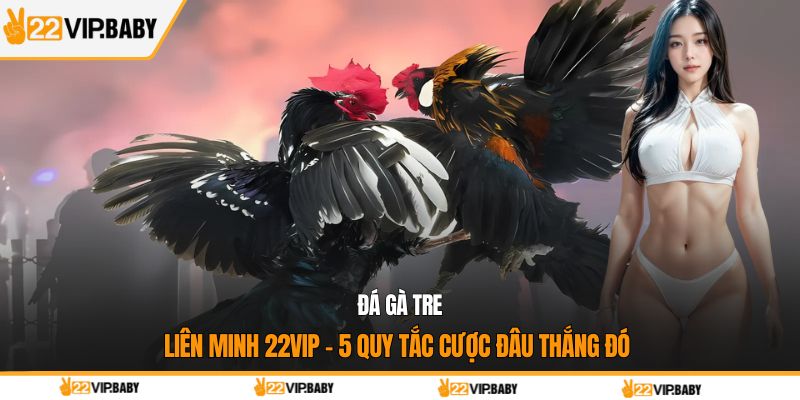 đá gà tre